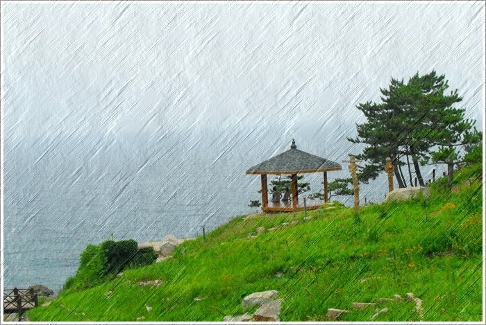 로드비 이미지