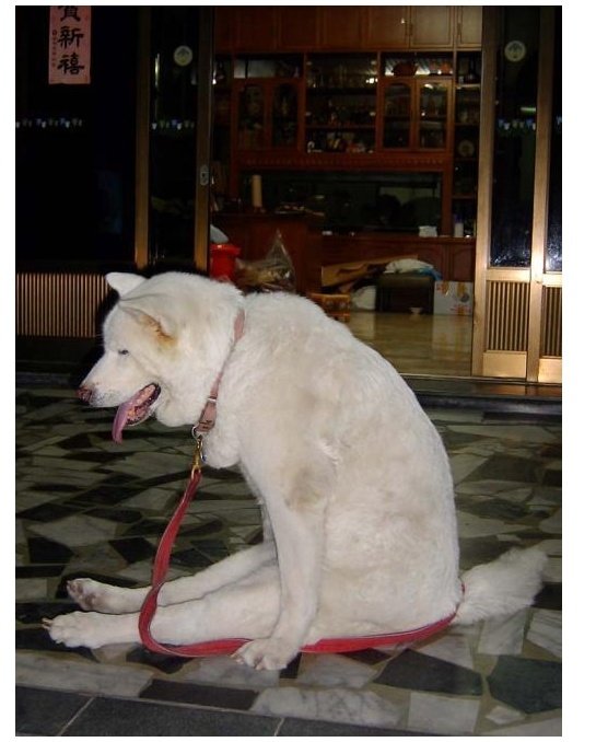 에고 이미지