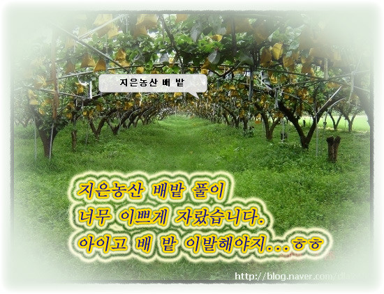 까치농산 이미지