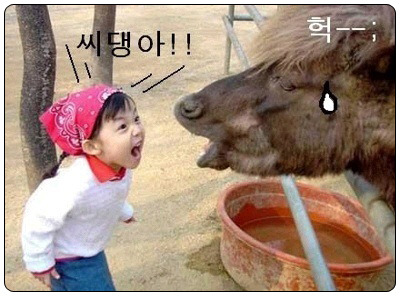 메인컴 이미지