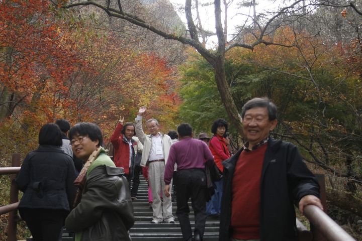 21 이미지