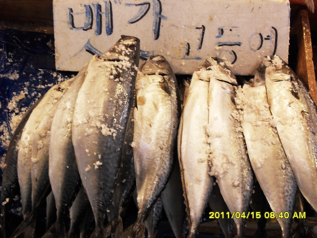 부일상회 이미지