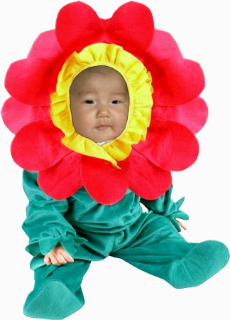보현 이미지