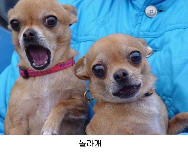 깔깔깔 이미지