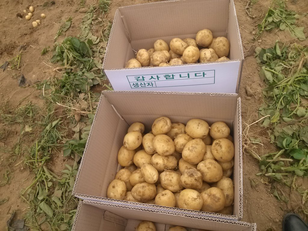 연풍카 이미지