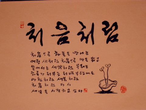 마콘도턴 이미지