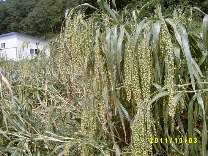 은창환경 이미지