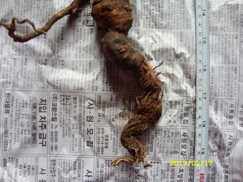 아랫도리 이미지
