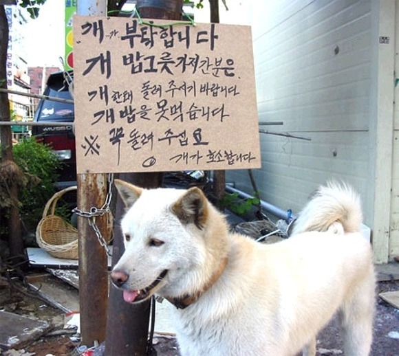 복 이미지