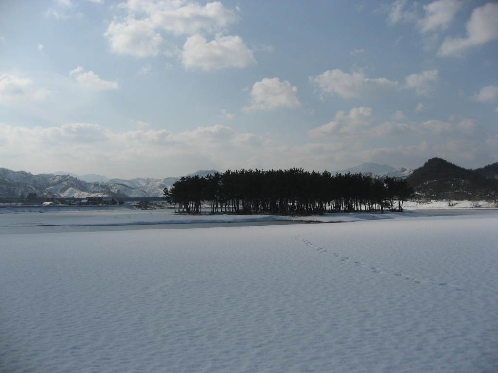 삼척 월천리 이미지