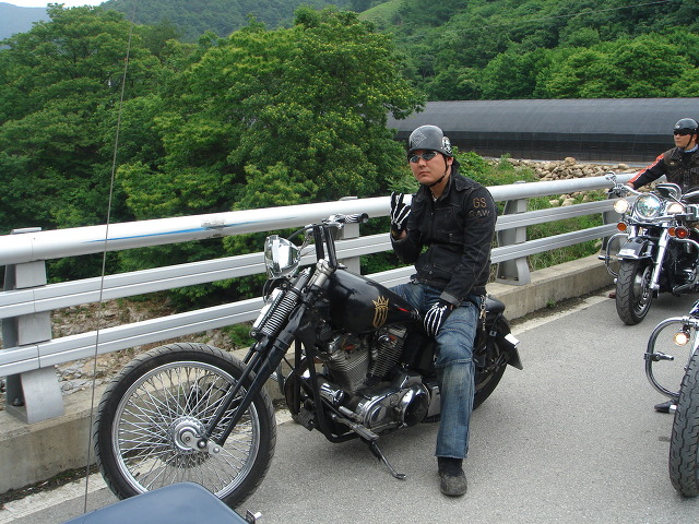 할리 이미지