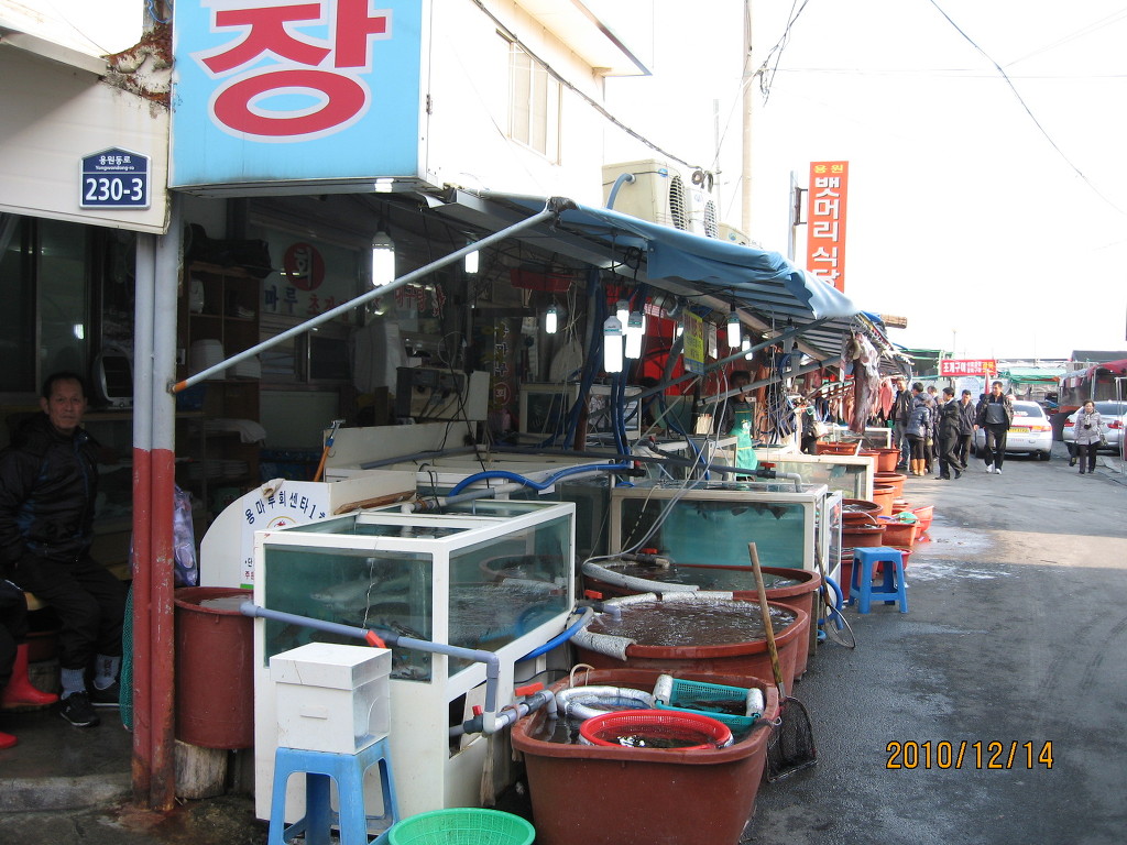 대구회 이미지
