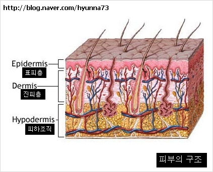 스포츠맛사지 이미지
