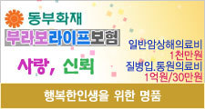 뉴베스트라이프 이미지
