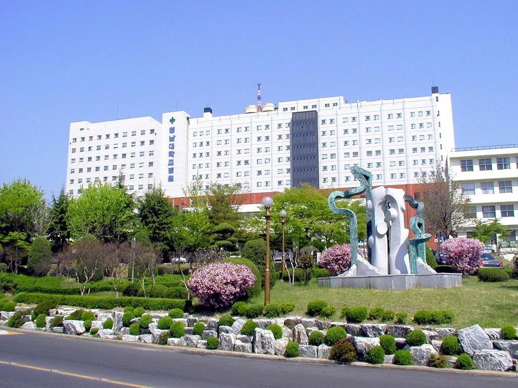 영남대학교의료원 이미지