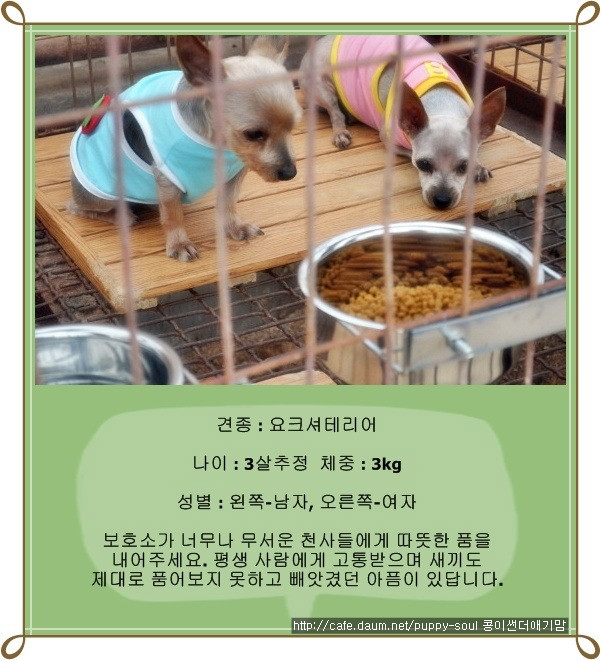 미미토토 이미지