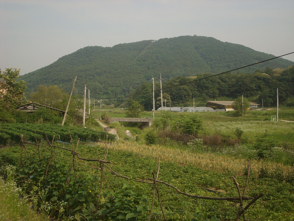 정운주택관리 이미지