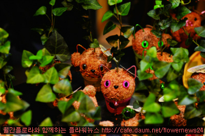 하나꽃집 이미지