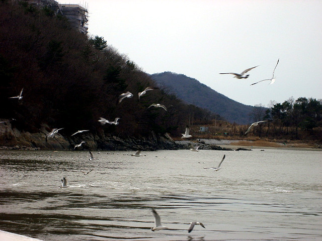 평화 이미지