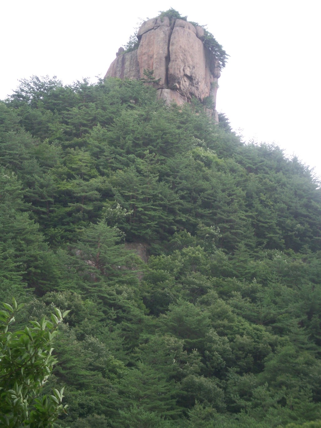 삼보식품 이미지