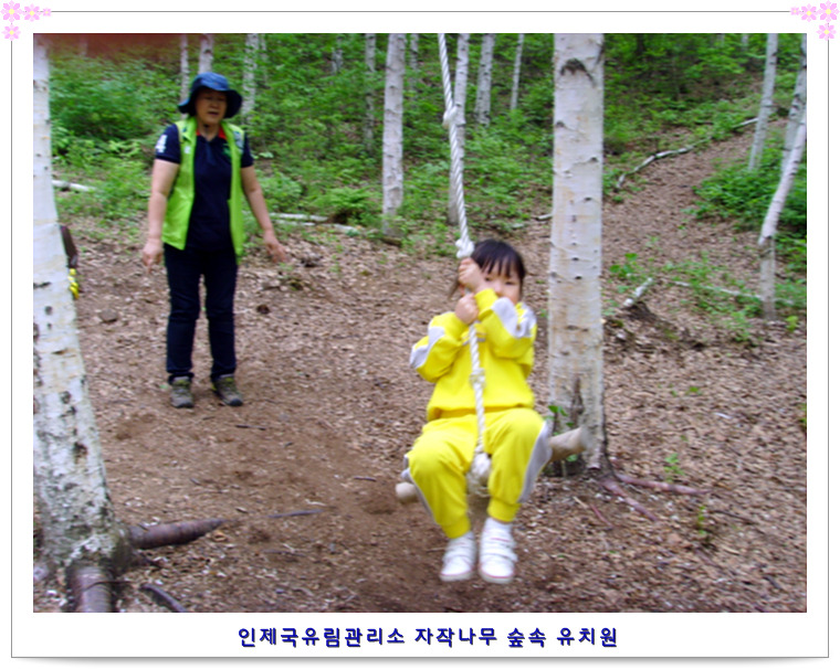 숲속사랑유치원 이미지