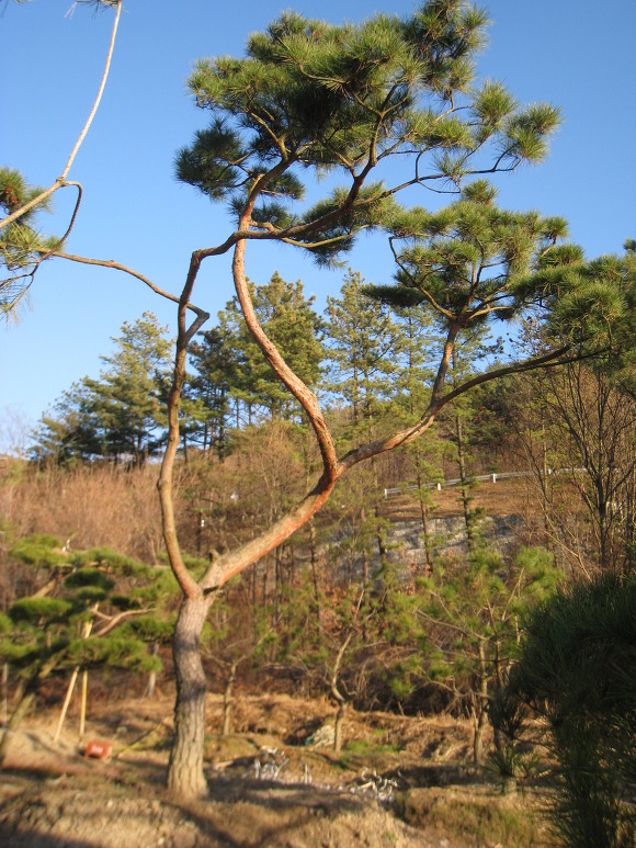 지리산농장 이미지