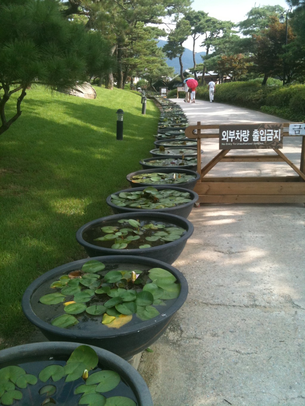 정상농원 이미지