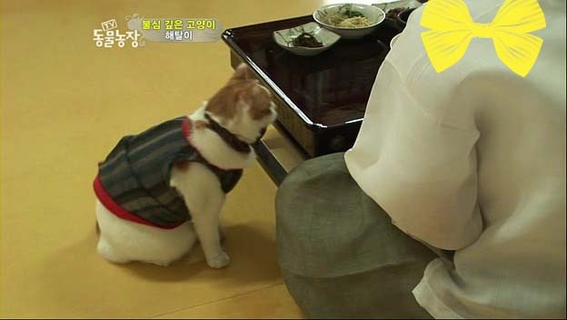 상귀농장 이미지