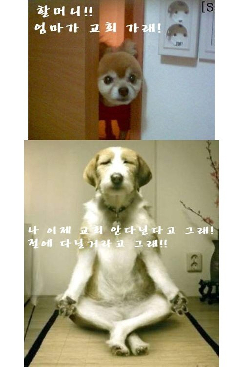 깔깔깔 이미지