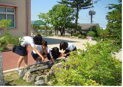 옥계중학교 이미지