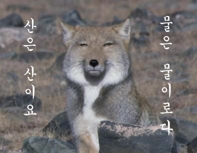 박*화 이미지