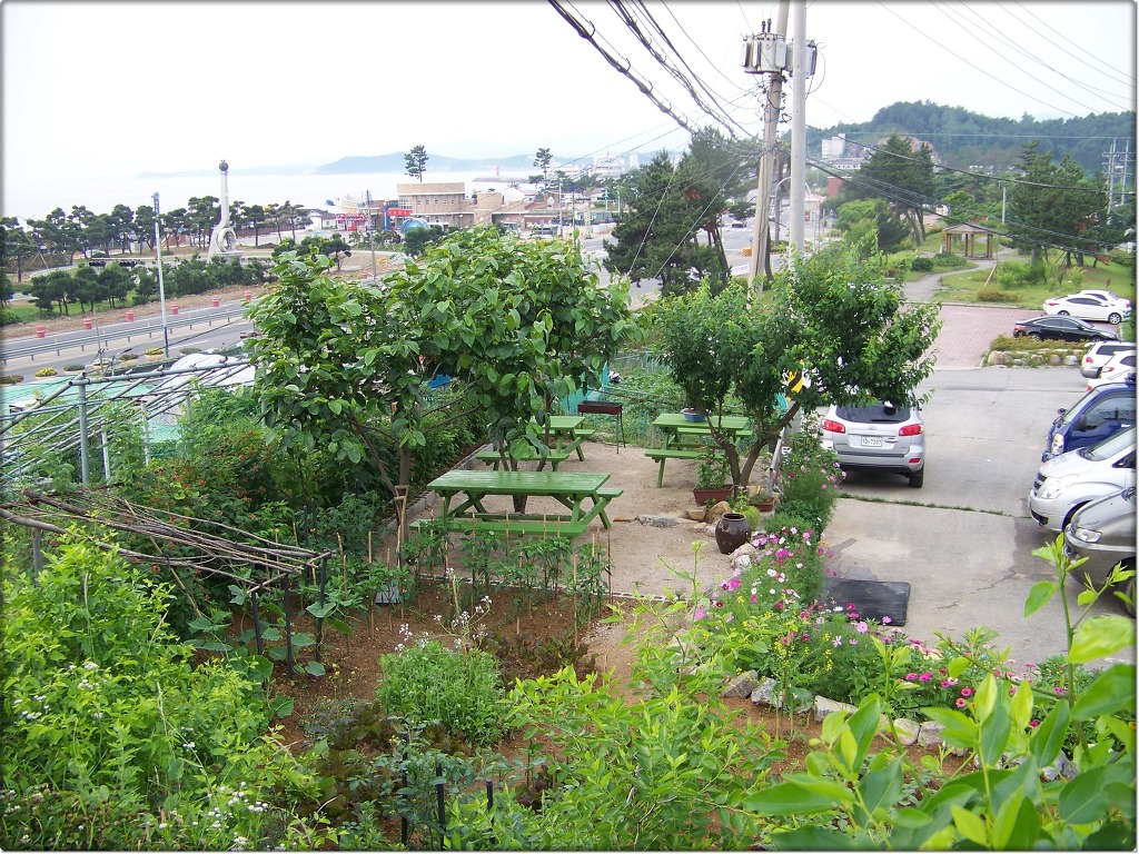 해맞이민박 이미지
