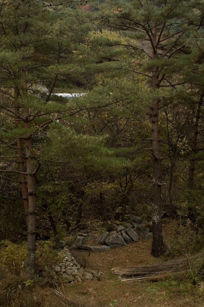 취산 이미지