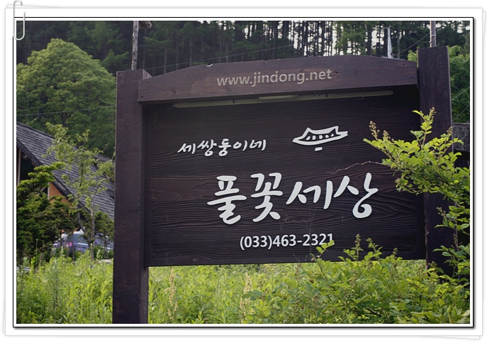 세쌍둥이네풀꽃세상 이미지