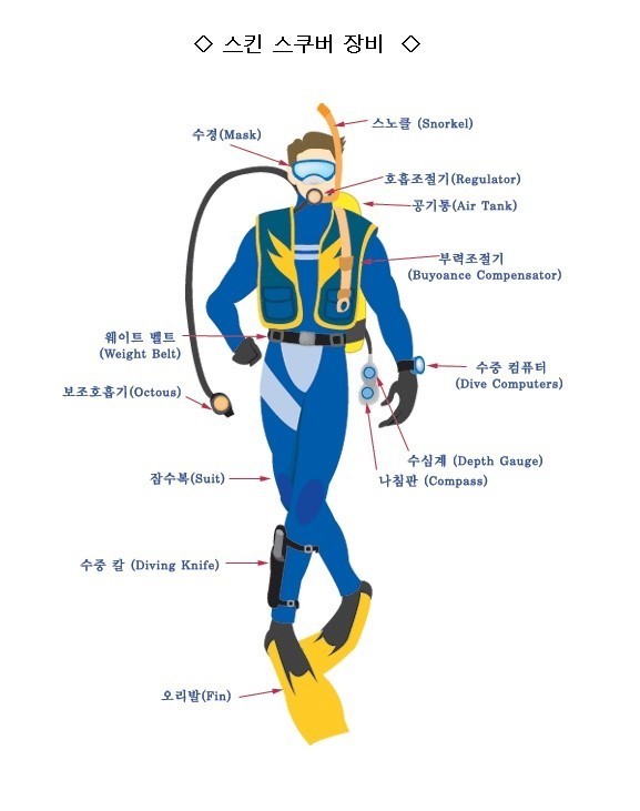 스쿠바인 이미지