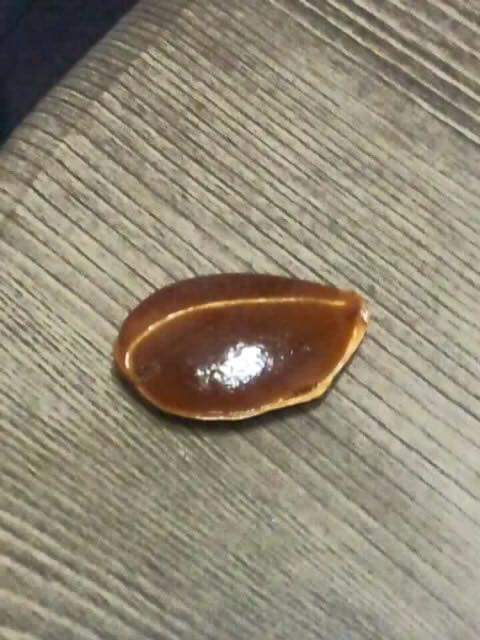 감의 비밀 | 인스티즈