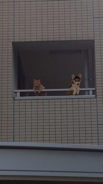 21098947561F65E4074A7D