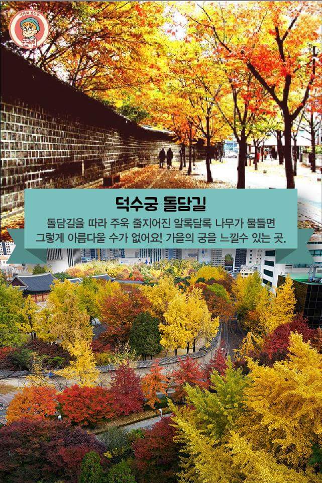 전국의 가을 단풍 여행지 추천 8곳 | 인스티즈