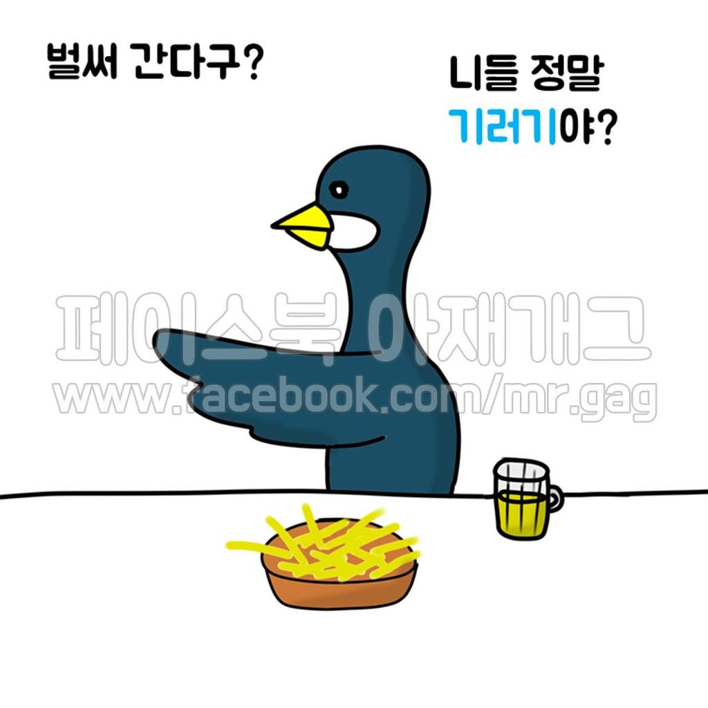 새들이 술 마실 때 | 인스티즈