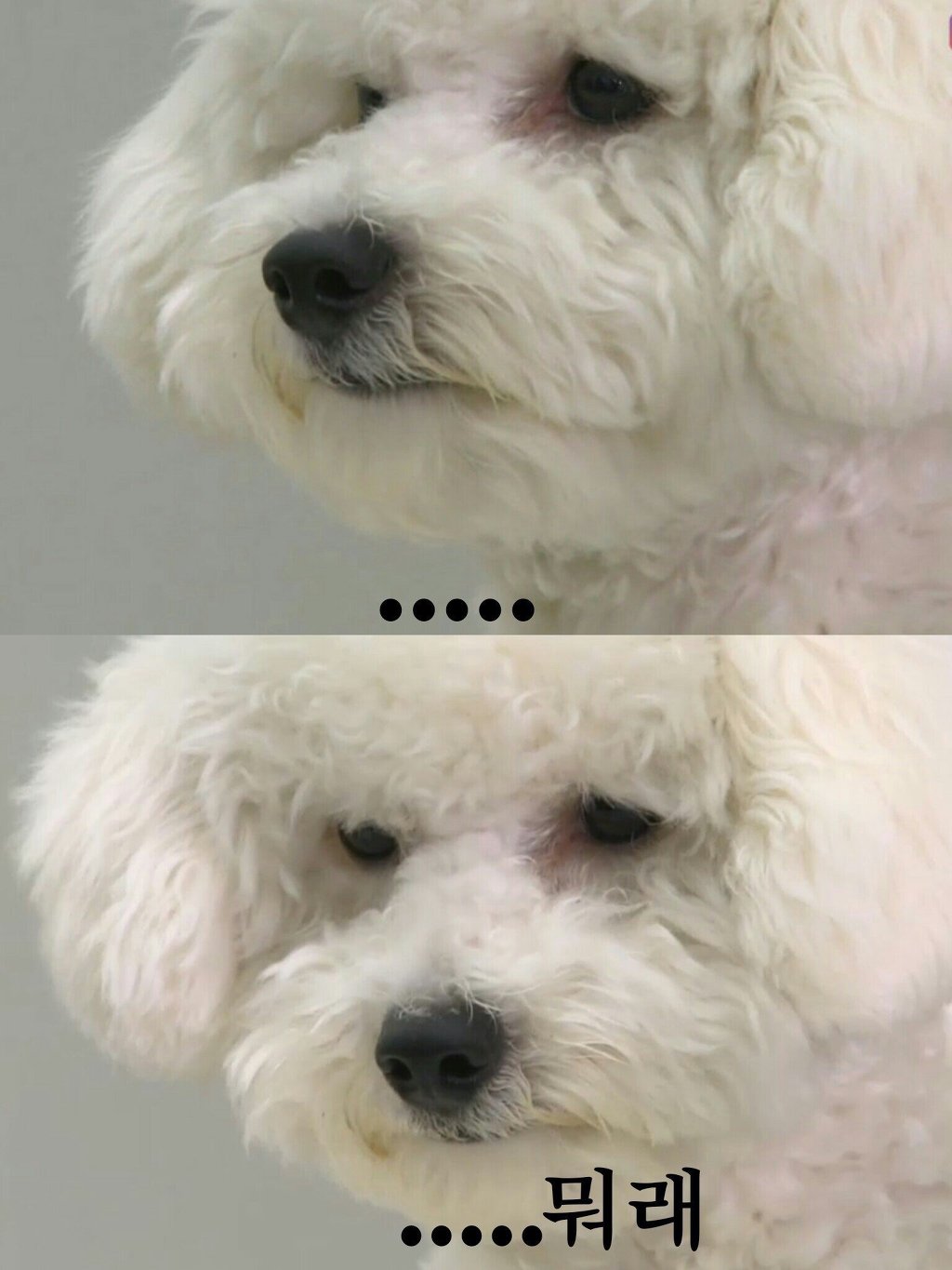 브이비비 이미지