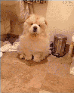 아따 좋다 .GIF | 인스티즈