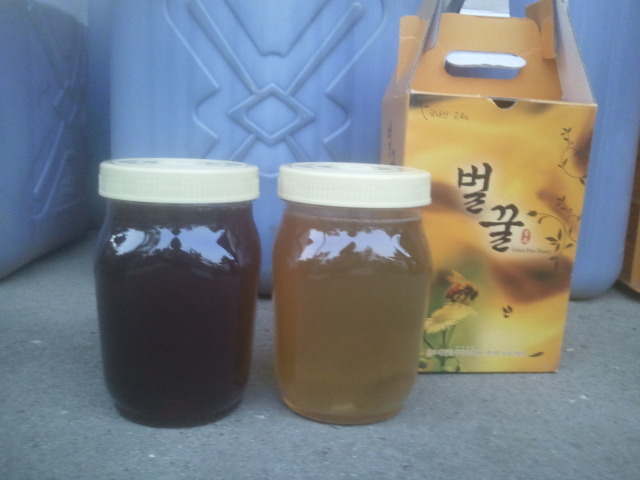 지경벌꿀 이미지