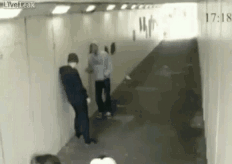 복서의 위엄 | 인스티즈