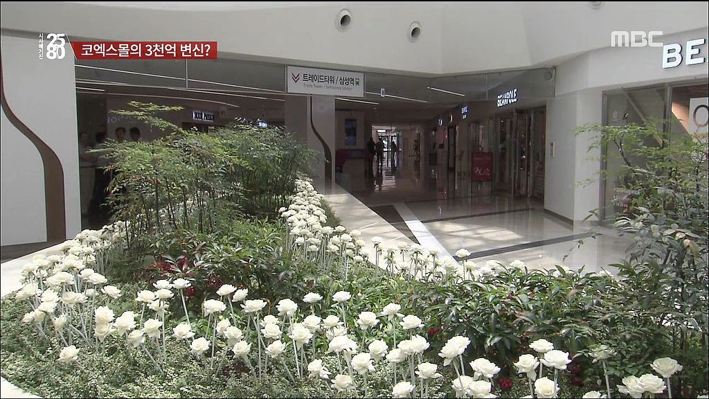 [2580] 코엑스몰의 속사정 | 인스티즈