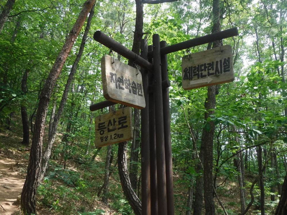 두릉산자연휴양림 이미지