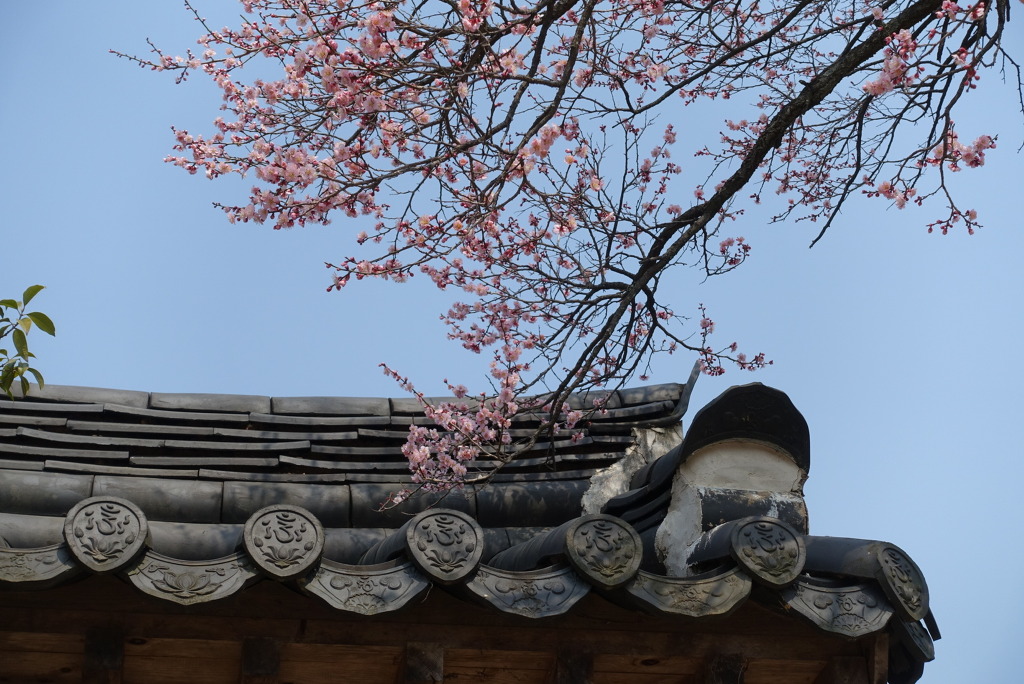 선암사 이미지