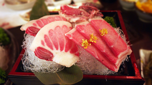 참치회 아는 척 하기 | 인스티즈