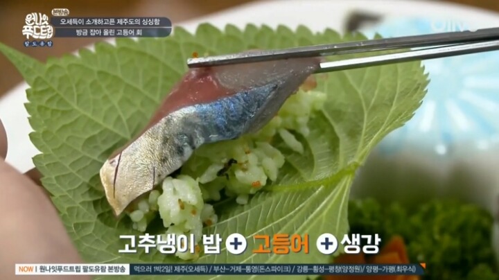 제주도 고등어회.jpg | 인스티즈