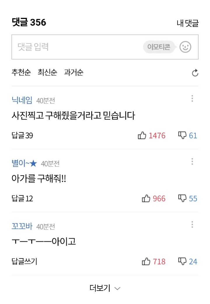 침수된 차량 위에 올라간 고양이 | 인스티즈