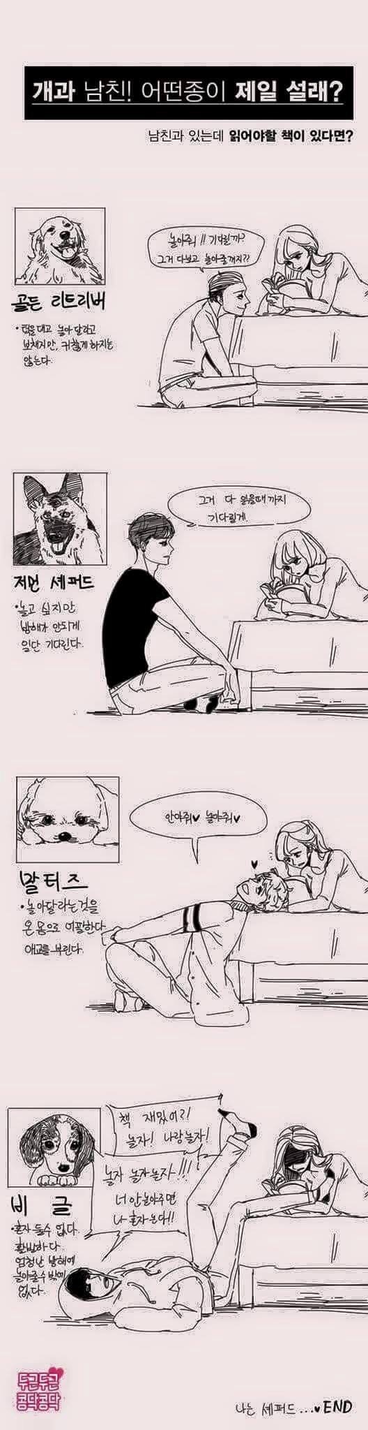 개 같은 남친.jpg | 인스티즈